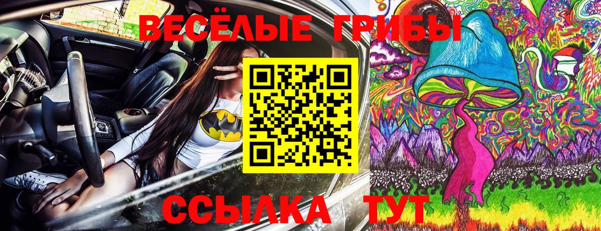 Менделеевск  Псилоцибиновые грибы Psilocybine cubensis  Вход с VPN 